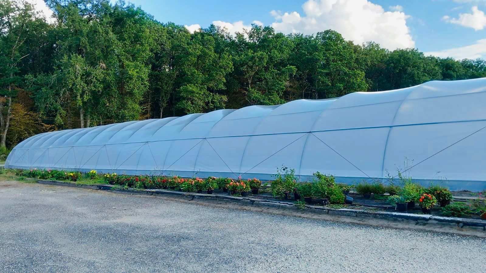 Single-span PE film greenhouse exterior with potted flowering plants along the front