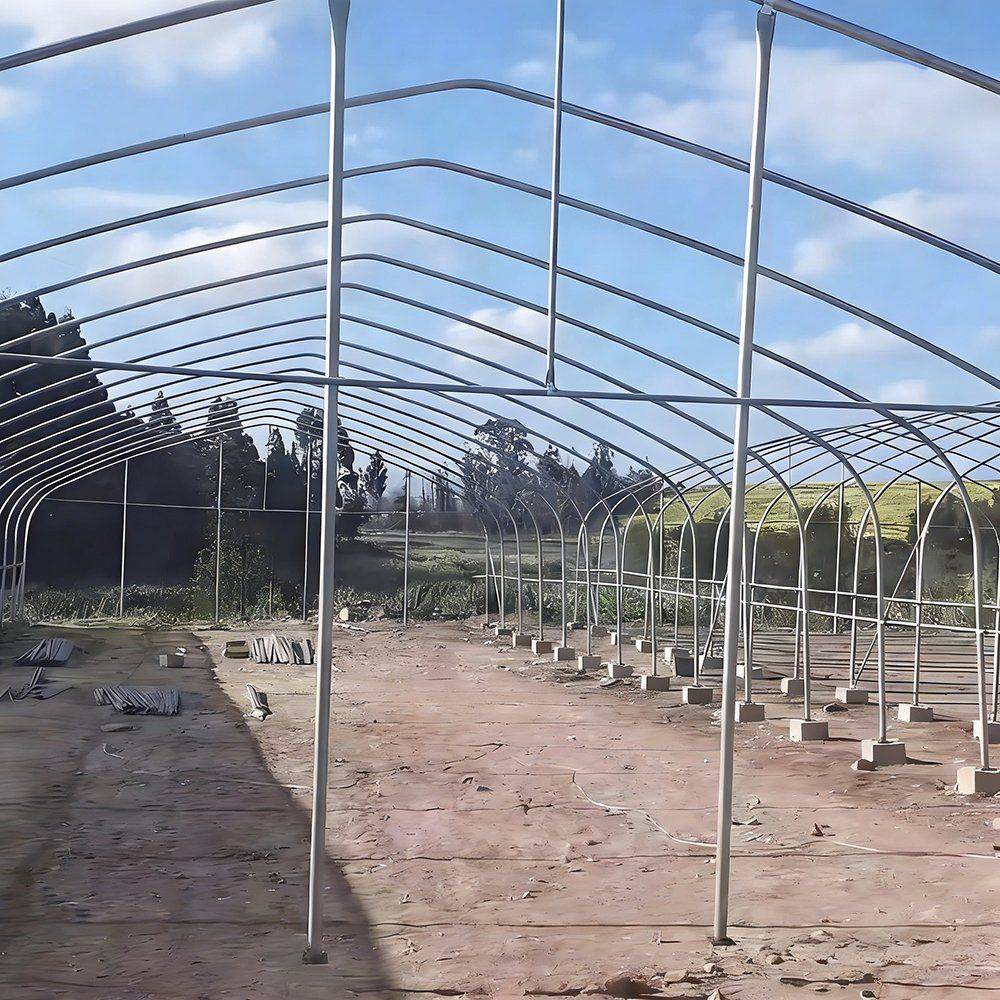 Single span tunnel greenhouse exterior with galvanized hoops under a clear sky