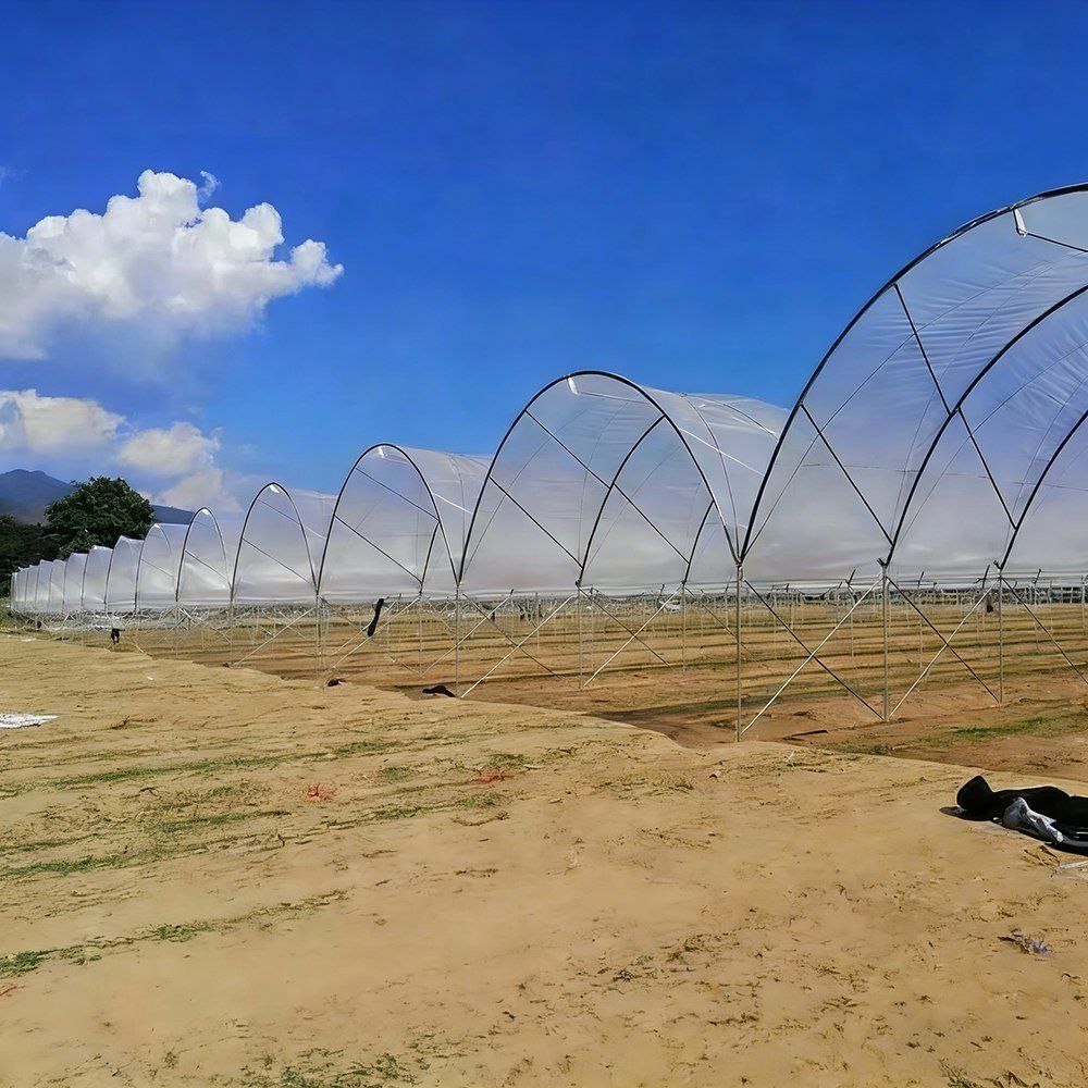 Row of single span tunnel greenhouses on open ground under a blue sky