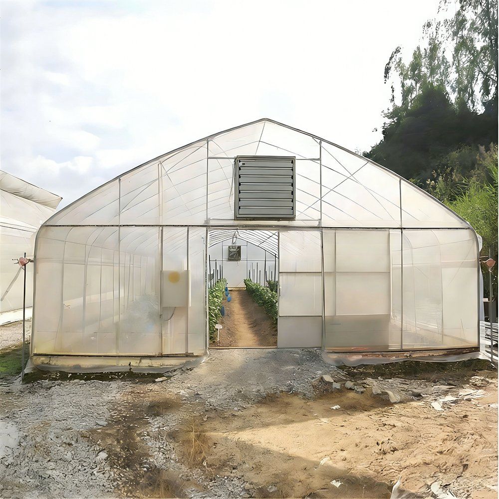 Single Span Metal Frame Tunnel Greenhouse with Cooling System