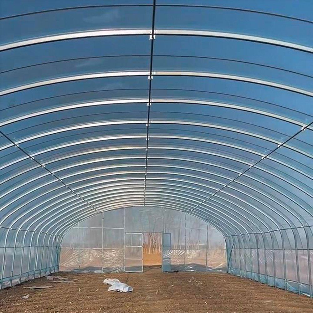 Interior view down the arch of an agricultural plastic film tunnel greenhouse