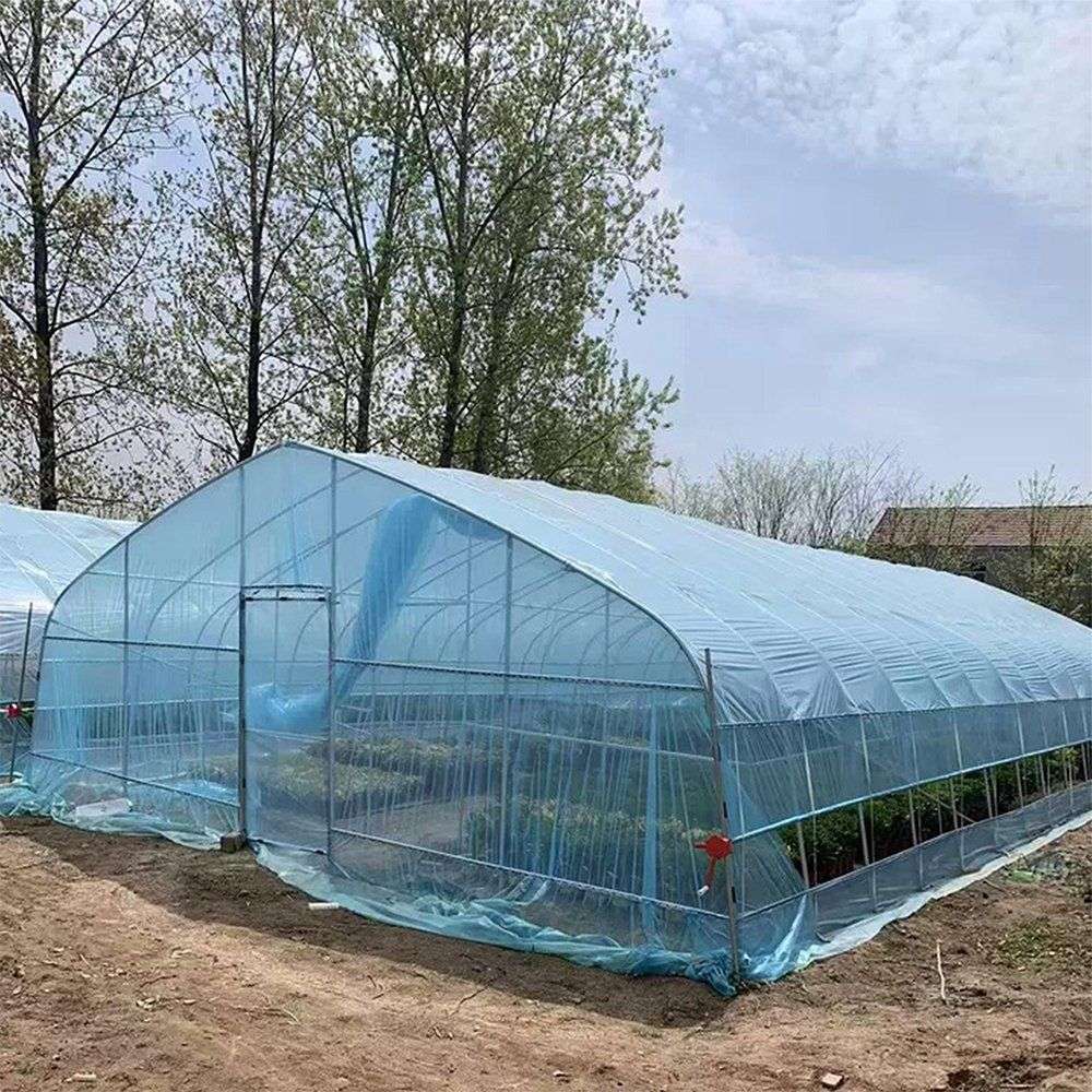 Row of tunnel greenhouses on open farmland with crops growing under the film