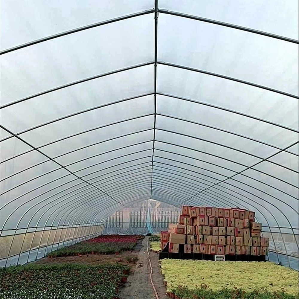 Interior of the tunnel greenhouse with seedling beds and young plants under the film cover
