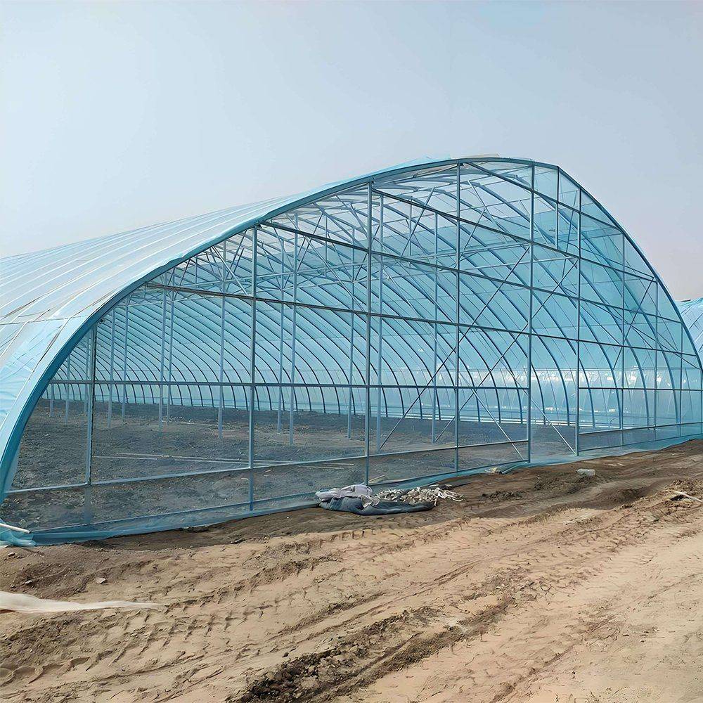Side elevation of the tunnel greenhouse showing the galvanized structure under the film cover