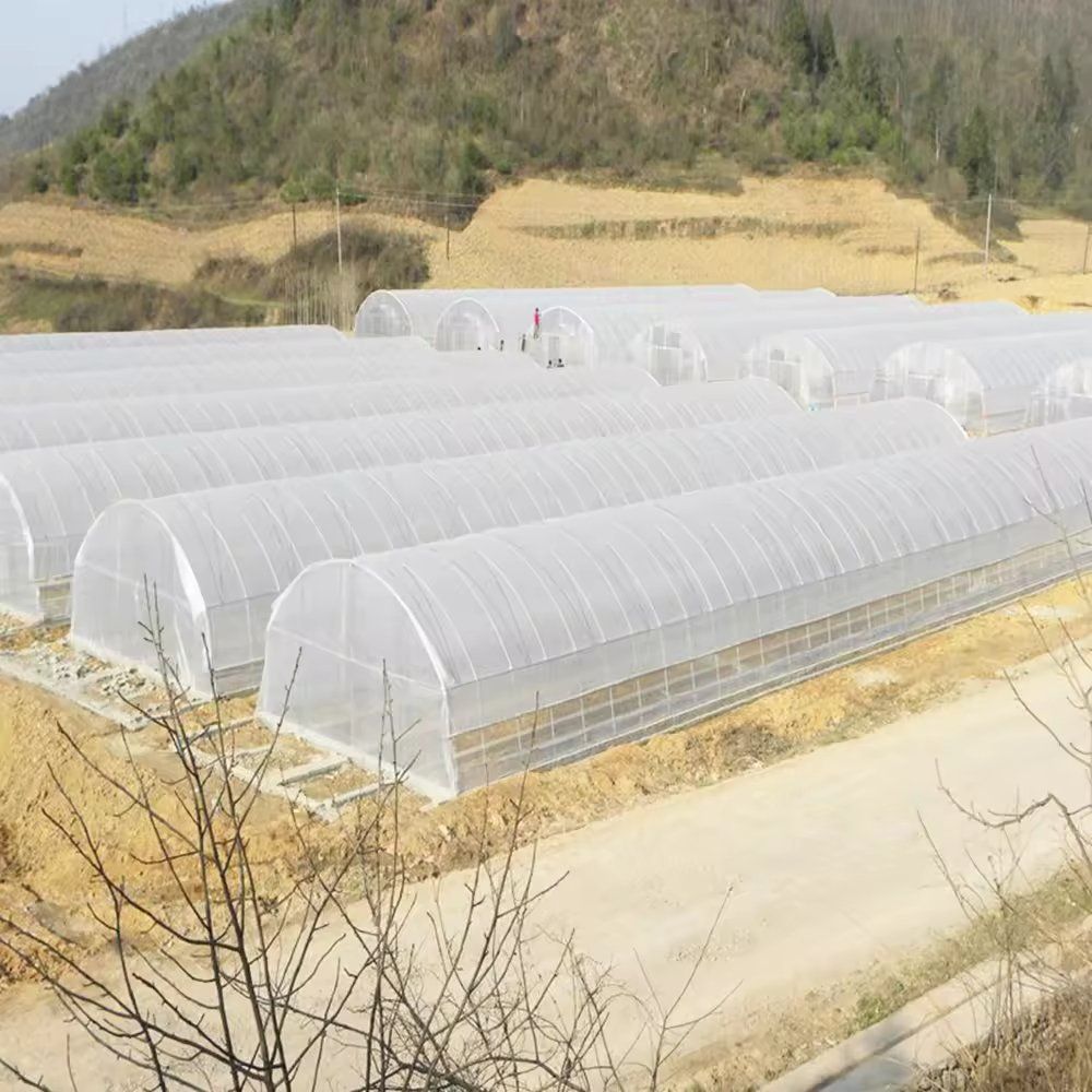 Block of tunnel greenhouses on sloping farmland with crops under cover