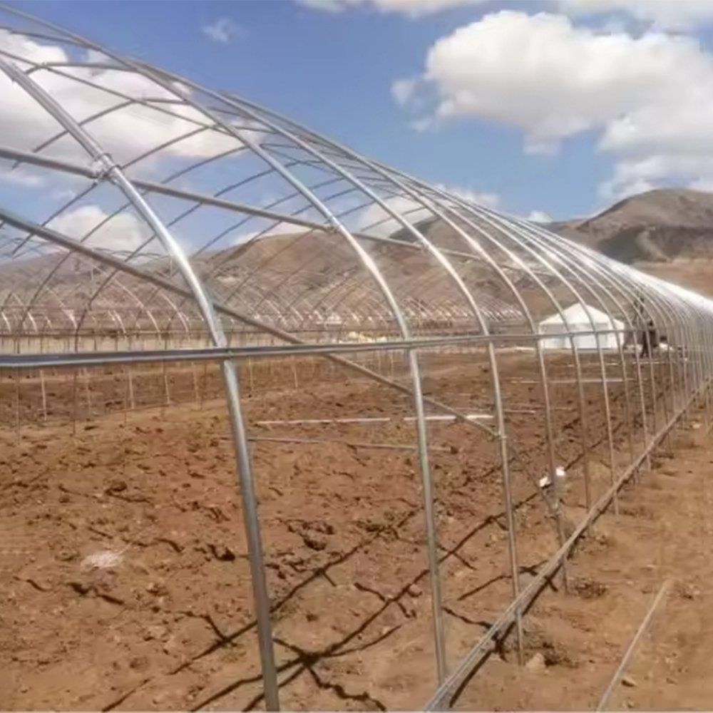 Galvanized steel hoops and purlins along the side of the tunnel greenhouse