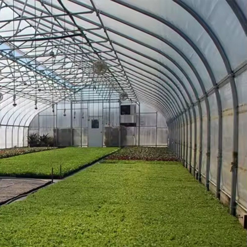 Seedling beds under the film cover inside the single span tunnel greenhouse