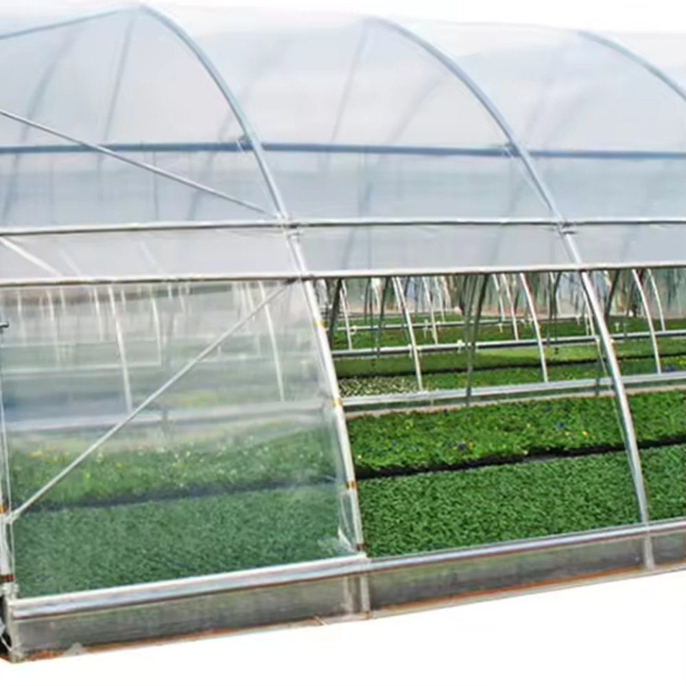 Translucent film side wall of the tunnel greenhouse with crops visible inside