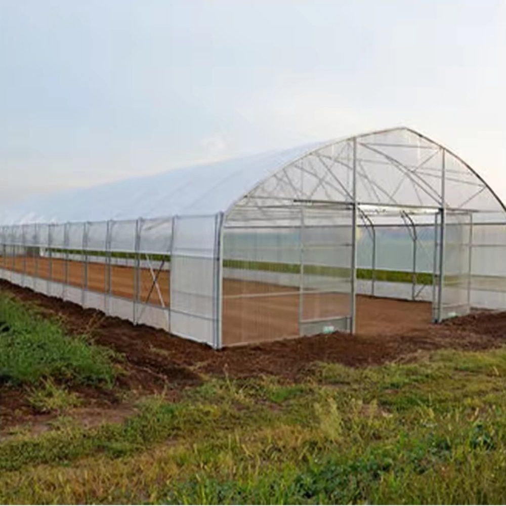 Polytunnel greenhouse exterior at dusk showing the galvanized gable frame