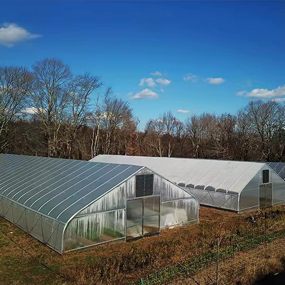 Row of polytunnel greenhouses on a working farm under a blue sky
