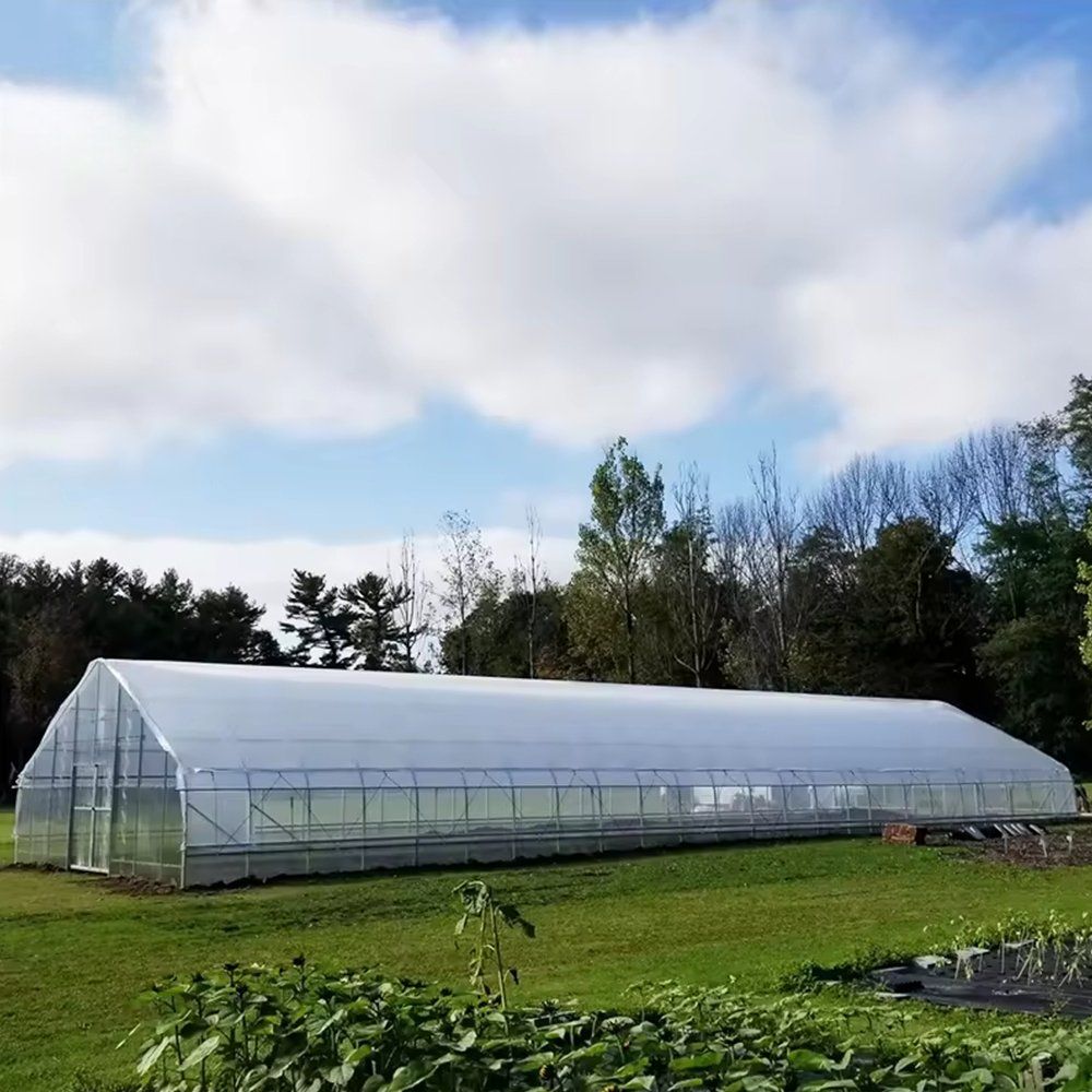 Long view of a polytunnel greenhouse on open grass with trees behind