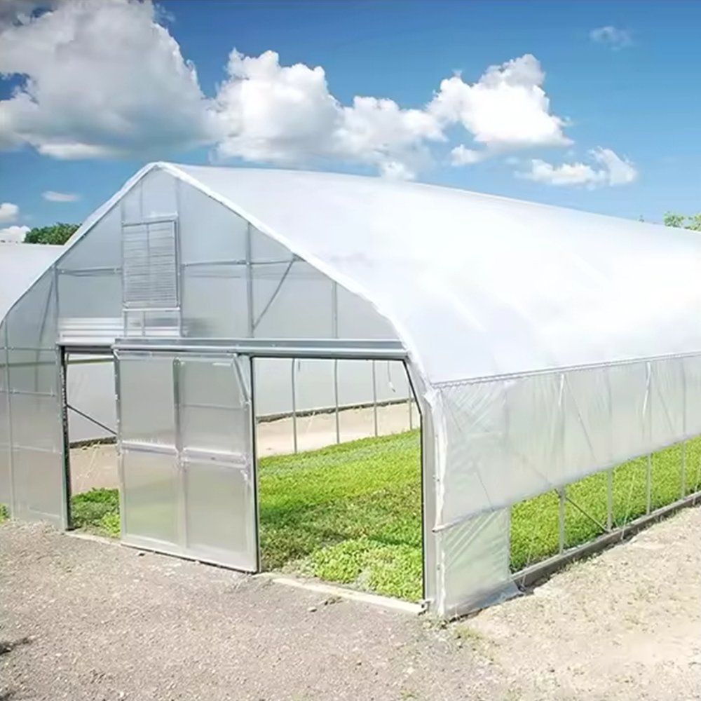 Galvanized polytunnel greenhouse with the film opened at the gable end showing interior crops