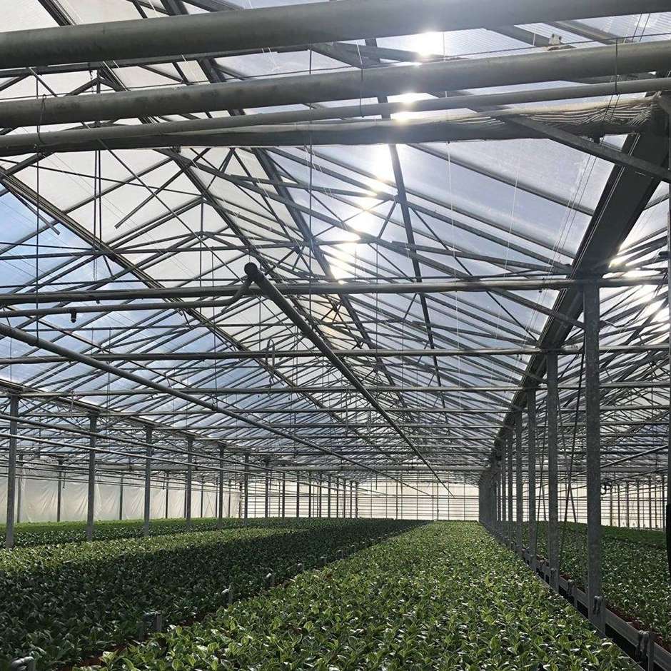 steel truss roof structure of a film greenhouse