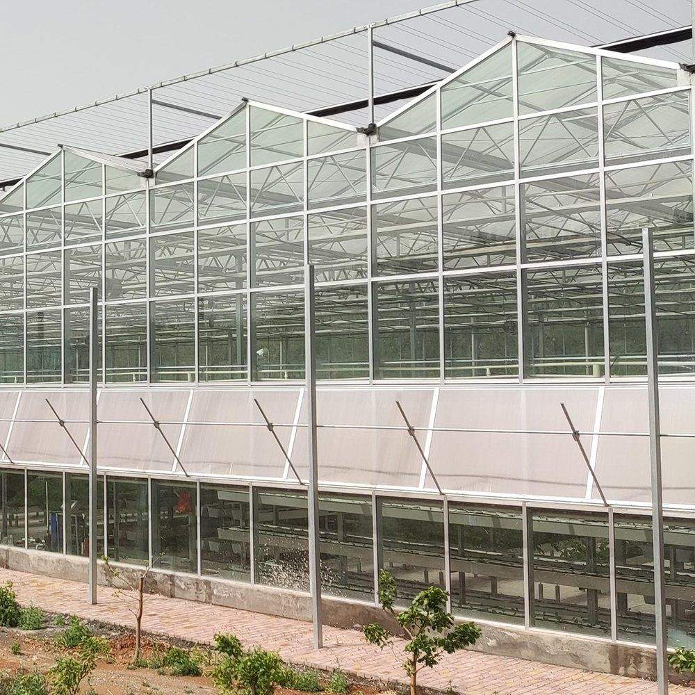 Temperature Controlled Glass Greenhouse with Galvanized Steel Frame