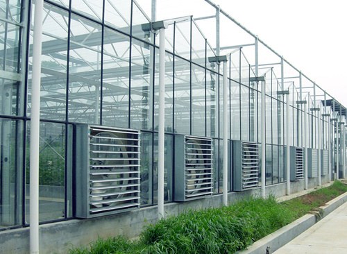 evaporative cooling pad wall on glass greenhouse