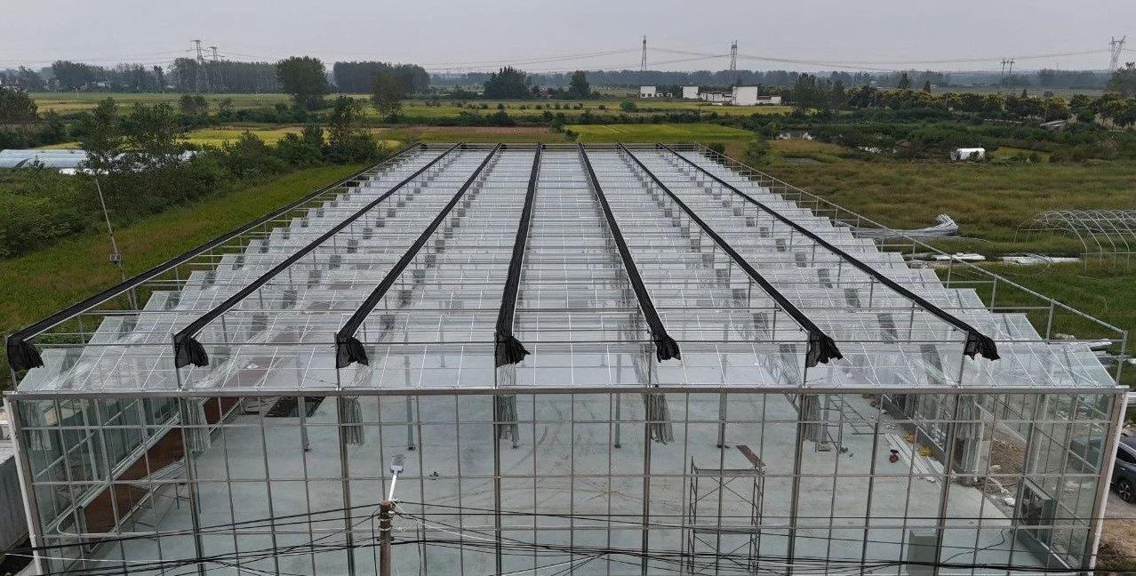 multi span glass greenhouse exterior with shade net