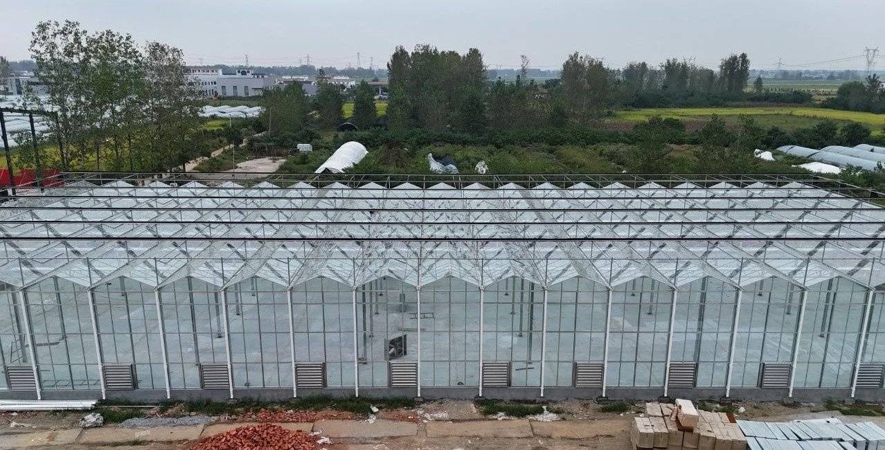 glass greenhouse sawtooth roof and side wall