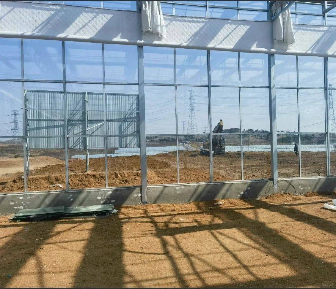 glass greenhouse wall and glazing panels