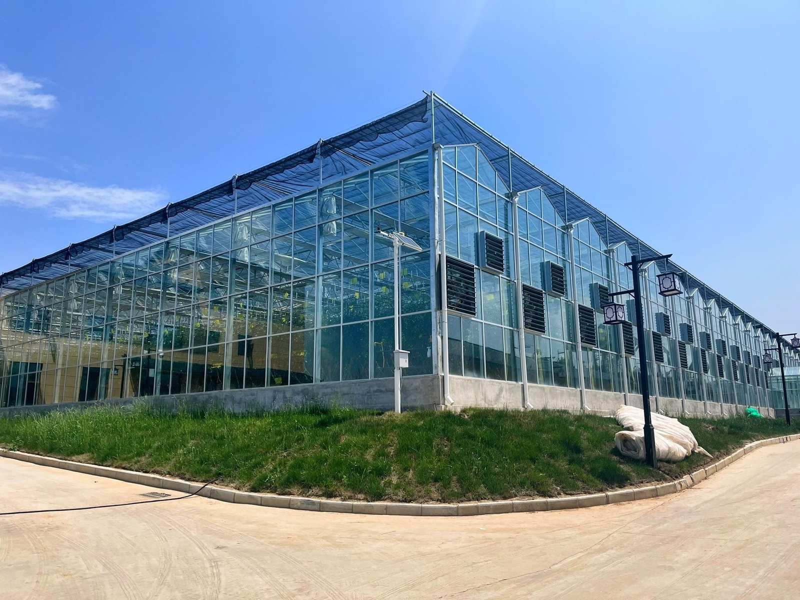 Venlo glass greenhouse exterior with tempered glass walls and cooling pad panels