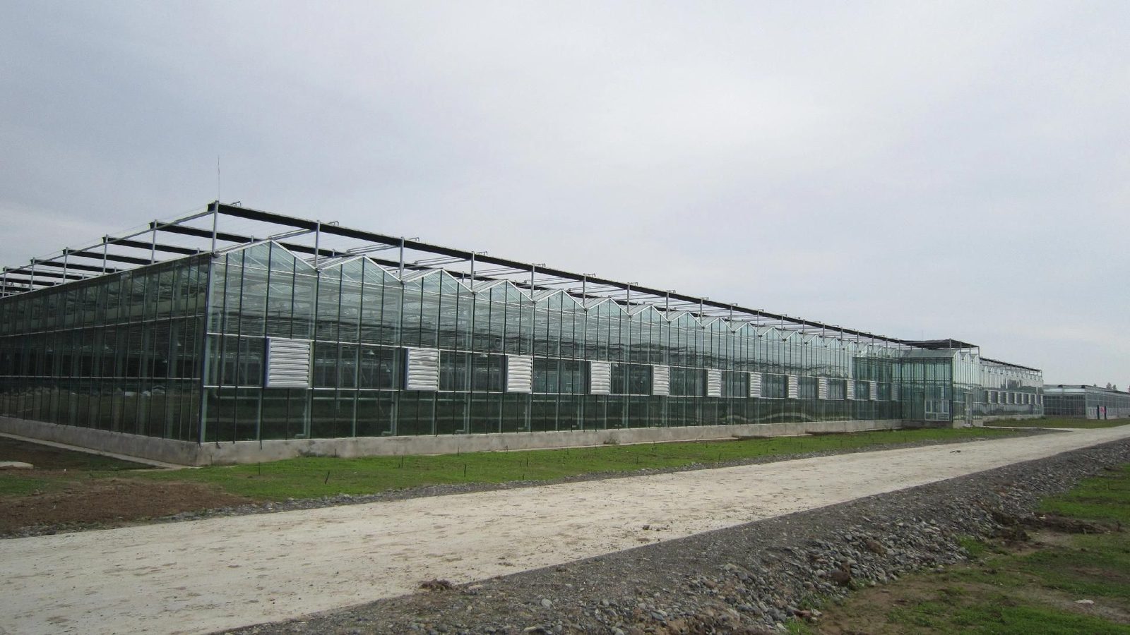 Wide span glass greenhouse exterior with galvanized steel frame and tempered glass wall