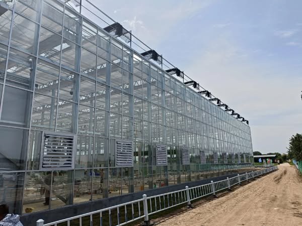 Front of the glass greenhouse showing the gable end and cooling pad panel
