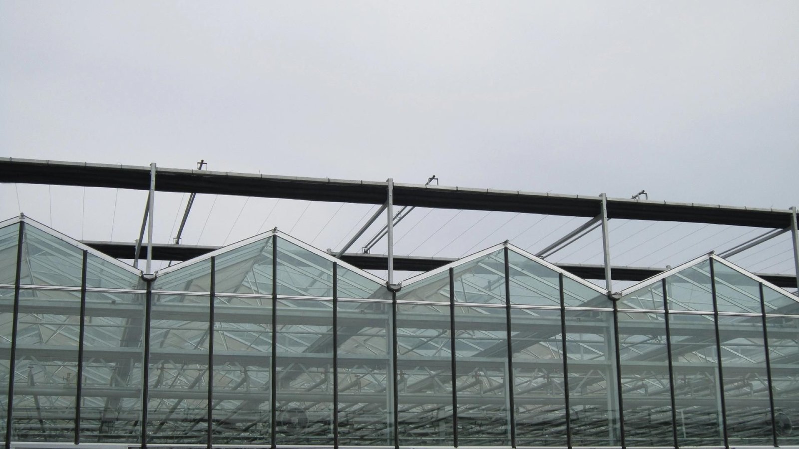 Close view of the tempered glass roof panels and galvanized frame of the wide span greenhouse