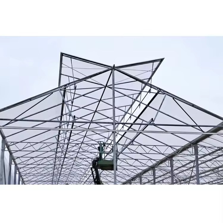 aluminium frame structure of a multi span polycarbonate greenhouse