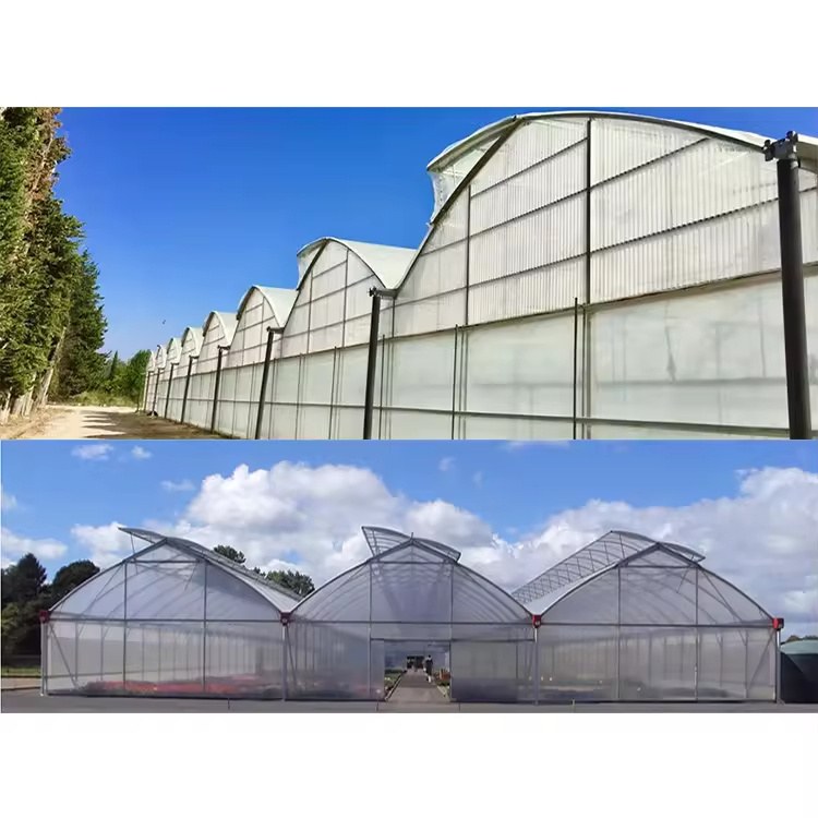 Commercial Polycarbonate Greenhouse Kit with Aluminum Frame for Farms