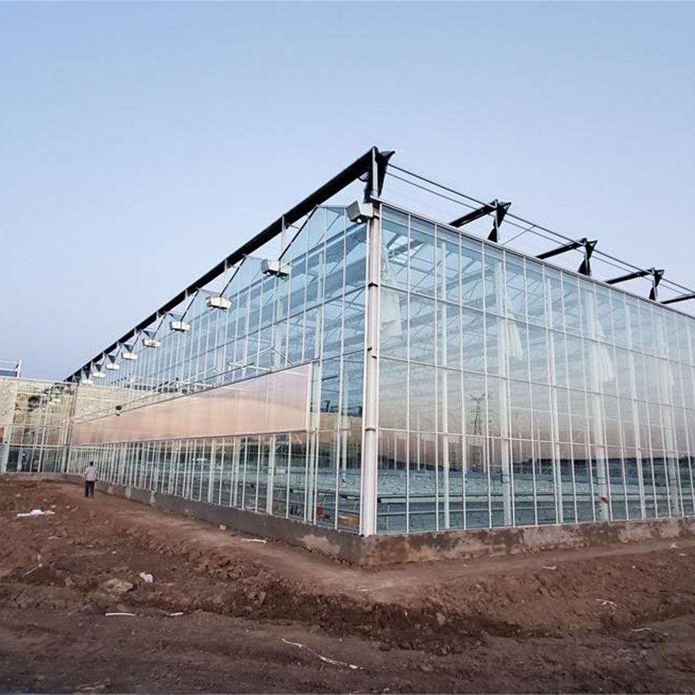 Lightweight Polycarbonate Greenhouse with PC Panels for Easy Install