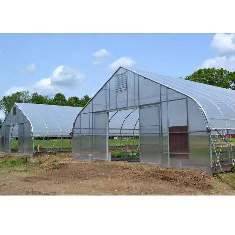Prefabricated Mushroom Greenhouse with Humidity Control for Farms