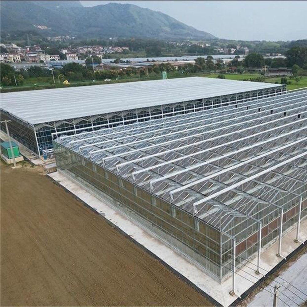 Aerial view of a multi-span polycarbonate greenhouse project