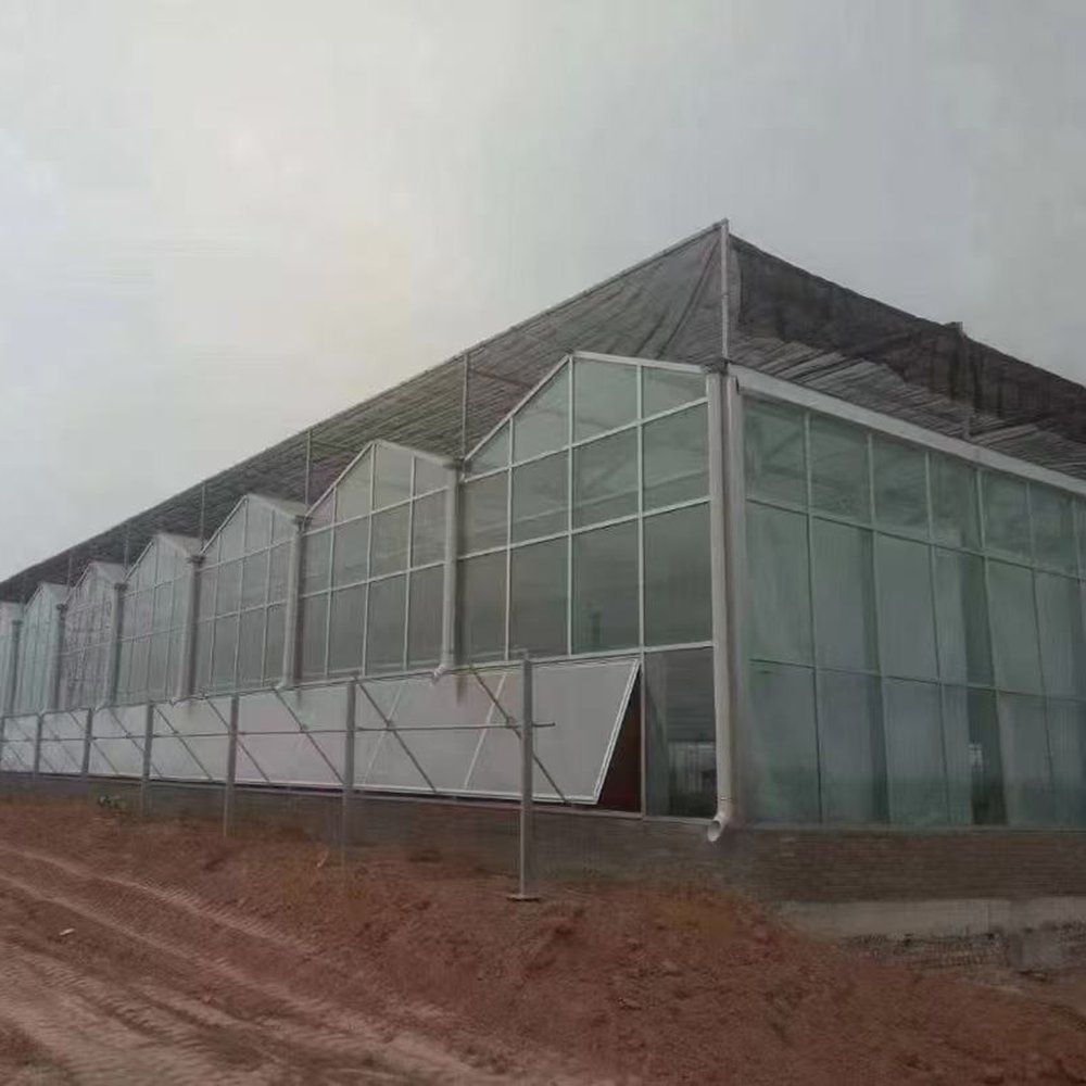 Side elevation of the polycarbonate greenhouse with external shading net