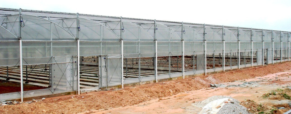 Steel frame of a greenhouse project under construction