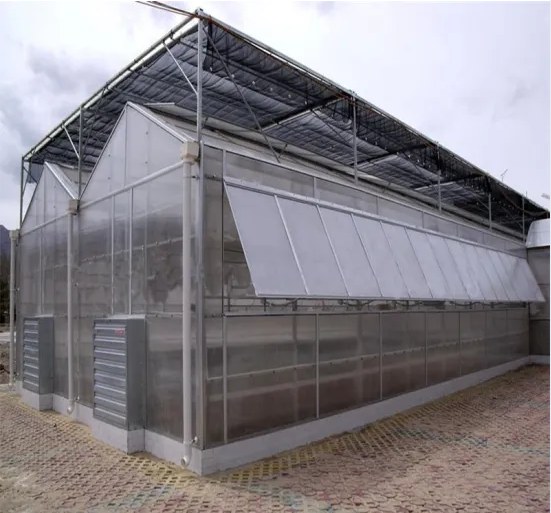 Exterior of the commercial polycarbonate greenhouse with top hung ventilation windows