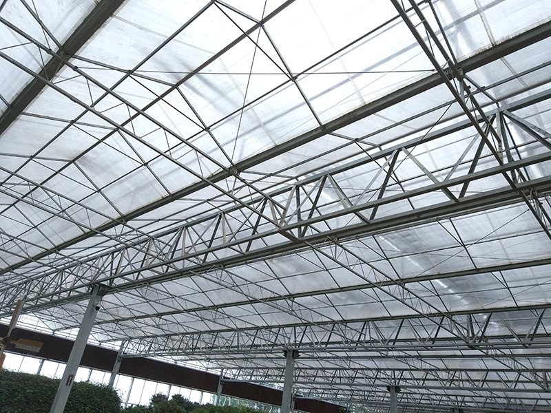 View of the polycarbonate sheet roof and galvanized trusses of the commercial greenhouse