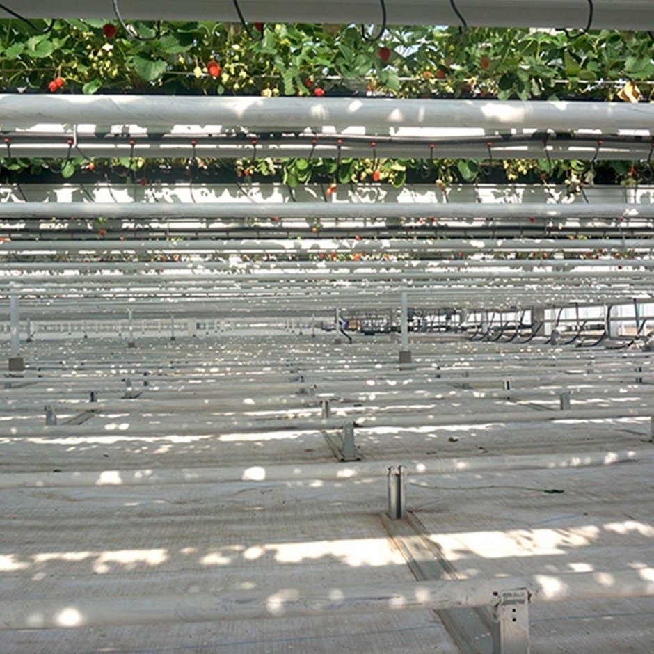 multi layer hanging cultivation racks inside a smart greenhouse