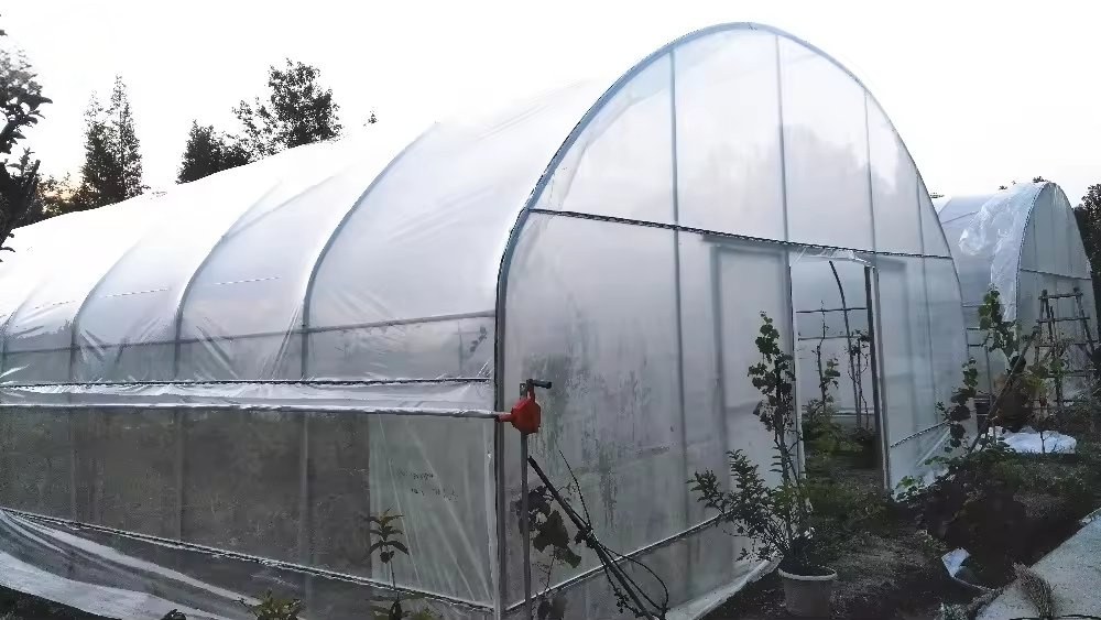 Commercial Single Span Greenhouse Kit with Plastic Film for Seeding