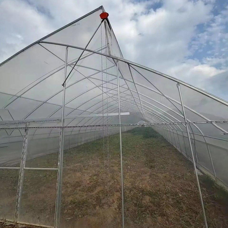 Agricultural Commercial Greenhouse Steel Structure for Cultivation