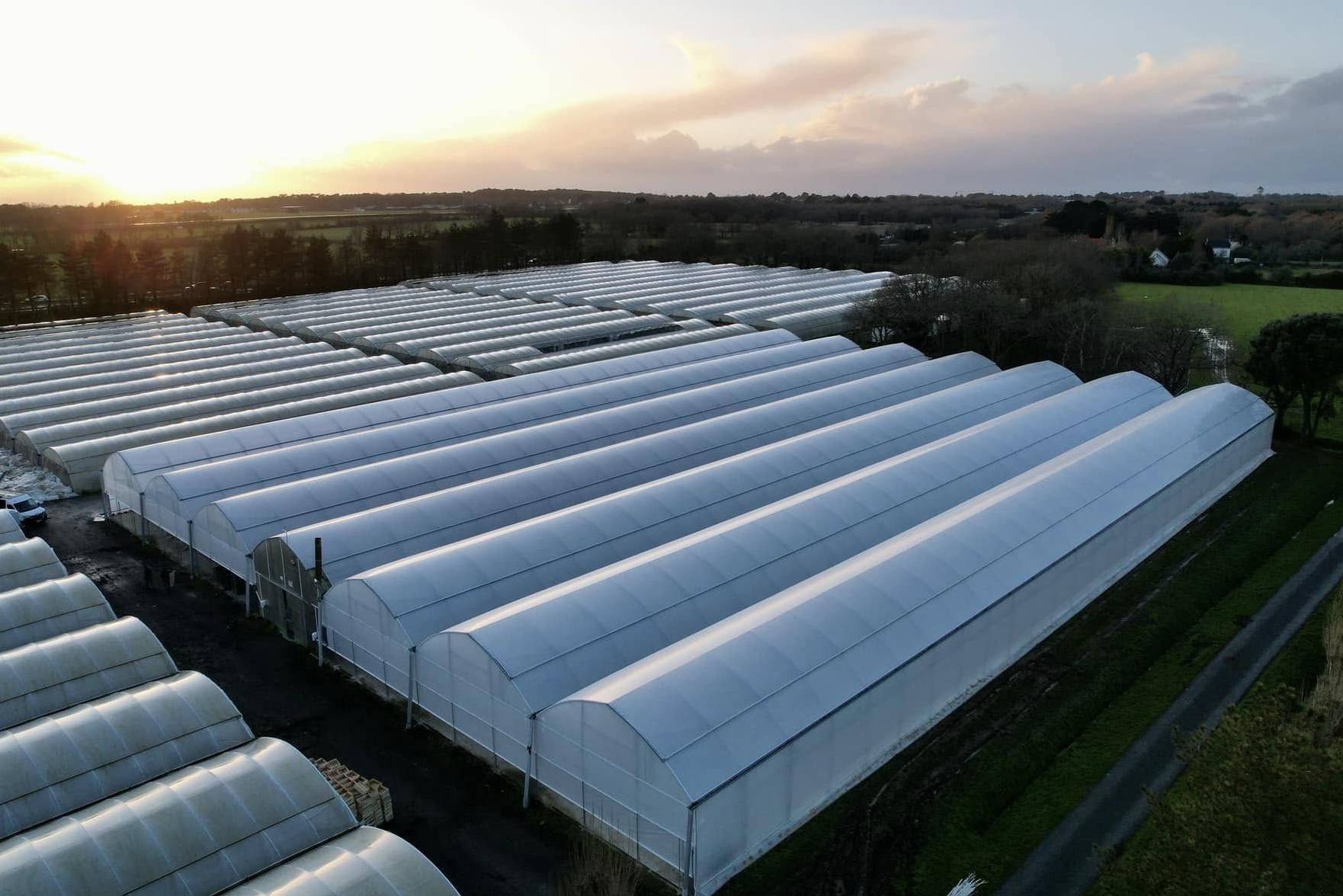 Aerial view of a film greenhouse range at dusk beside green fields