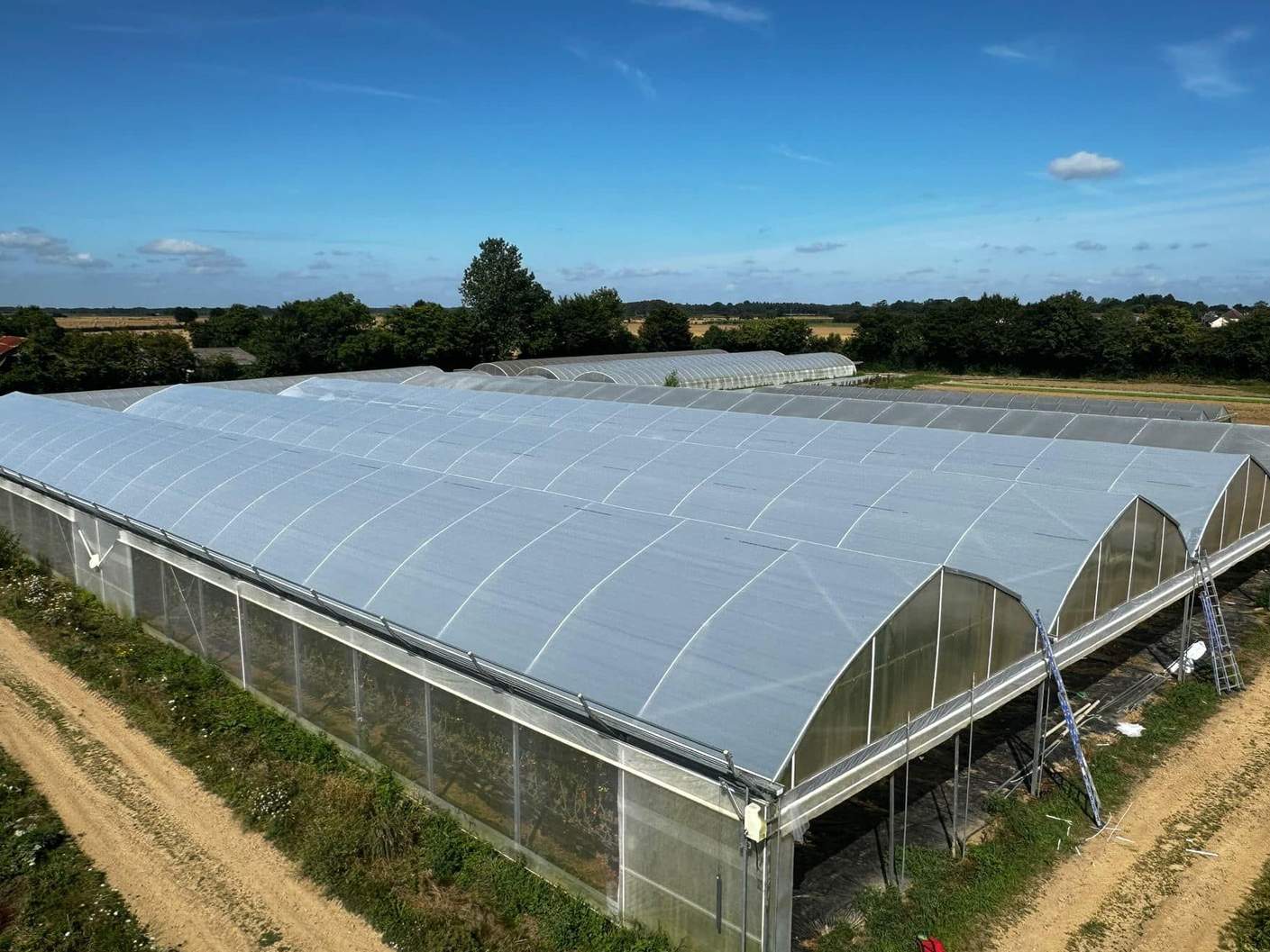 Multi bay film greenhouse seen across the roof from a high viewpoint