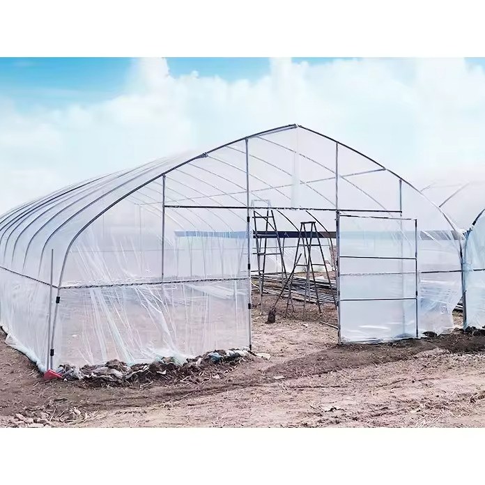 Gable end of an arched tunnel greenhouse with the film cover in place