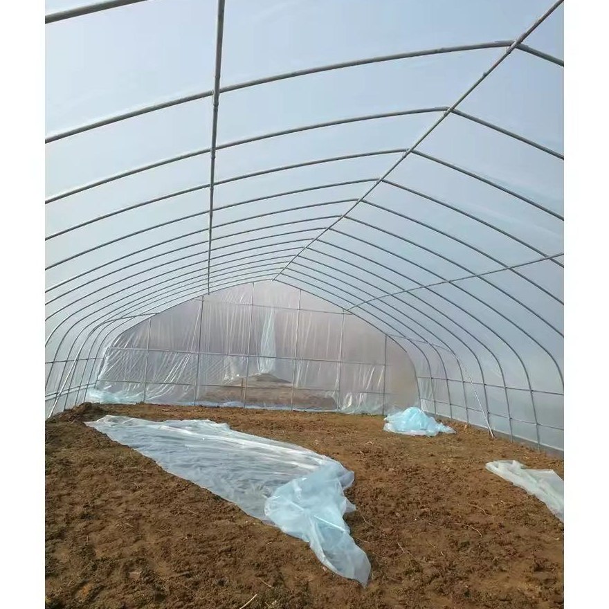 Interior of a tunnel greenhouse with the ground prepared for planting