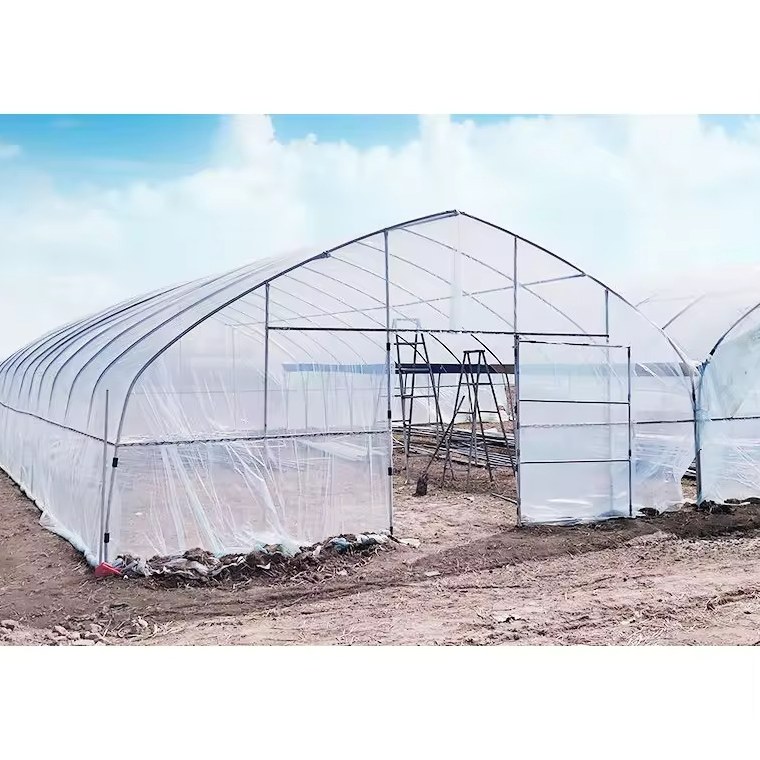 Aluminum Frame Tunnel Greenhouse with Galvanized Steel Hoops for Farms
