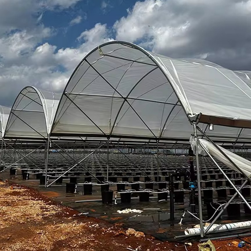 Arched roof truss and cross bracing of a galvanized frame