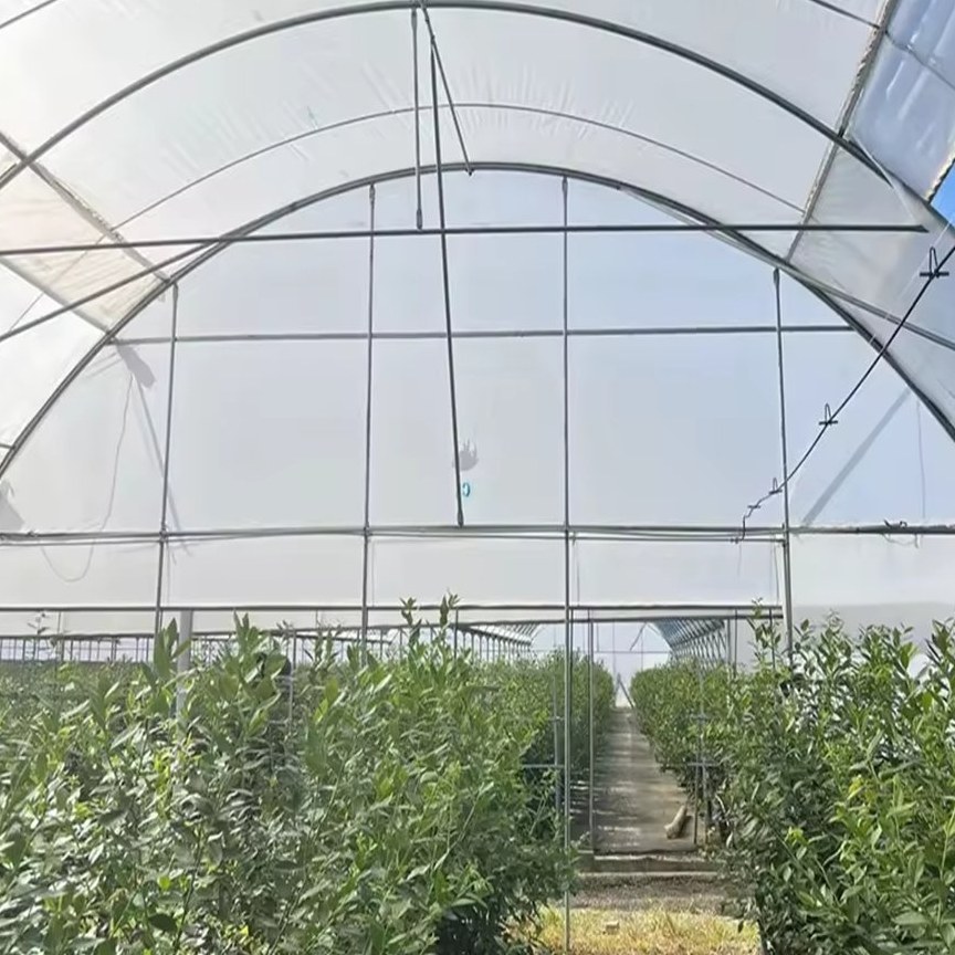 Galvanized steel frame and film cover seen from inside the bay
