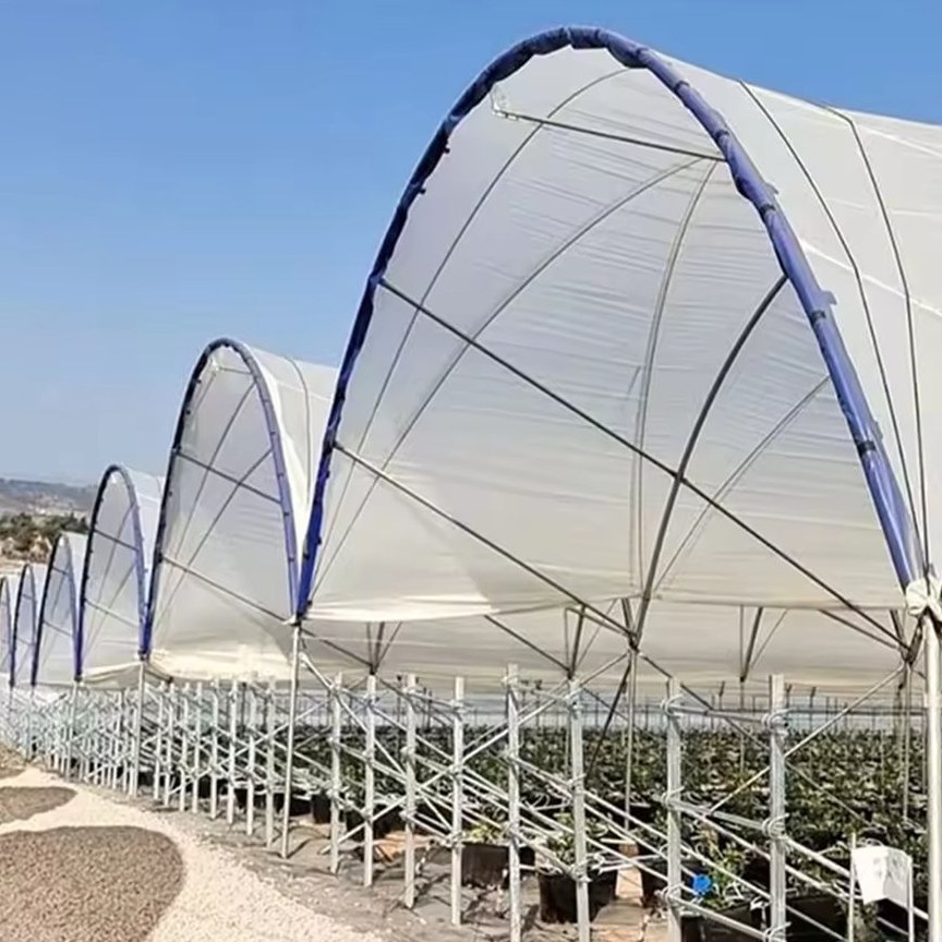 Side wall opening and galvanized arches of a film tunnel house