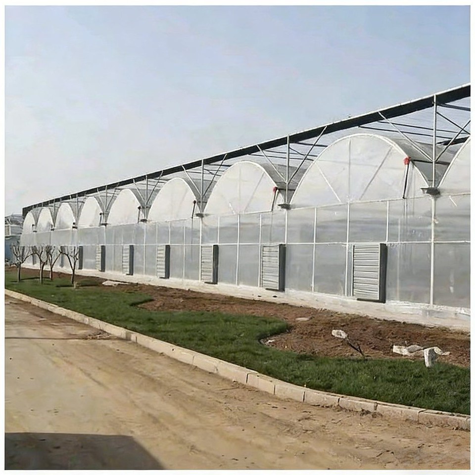 Long range of multi span polycarbonate greenhouses beside a field