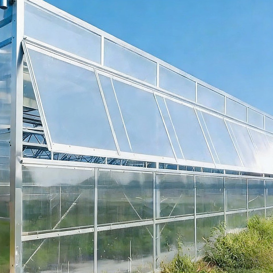 Polycarbonate panel wall and steel frame of a multi span greenhouse