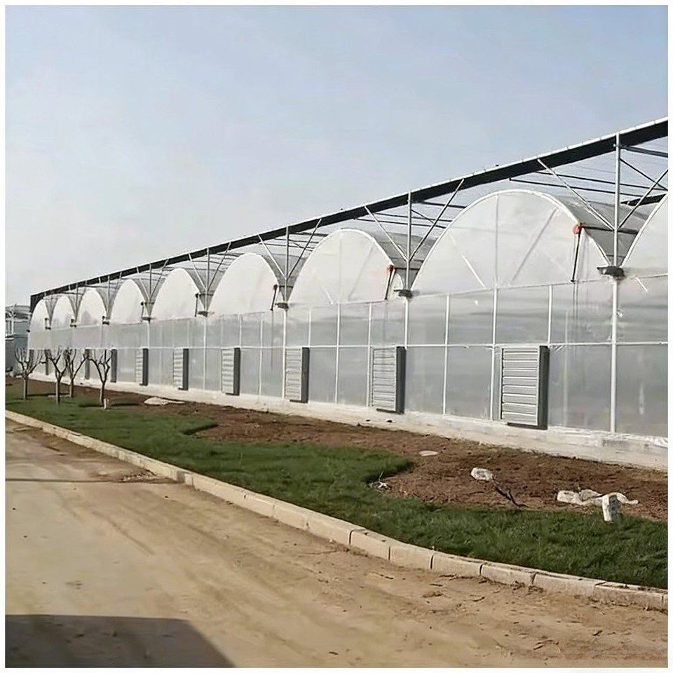 Row of arched polycarbonate greenhouse roofs seen from the side