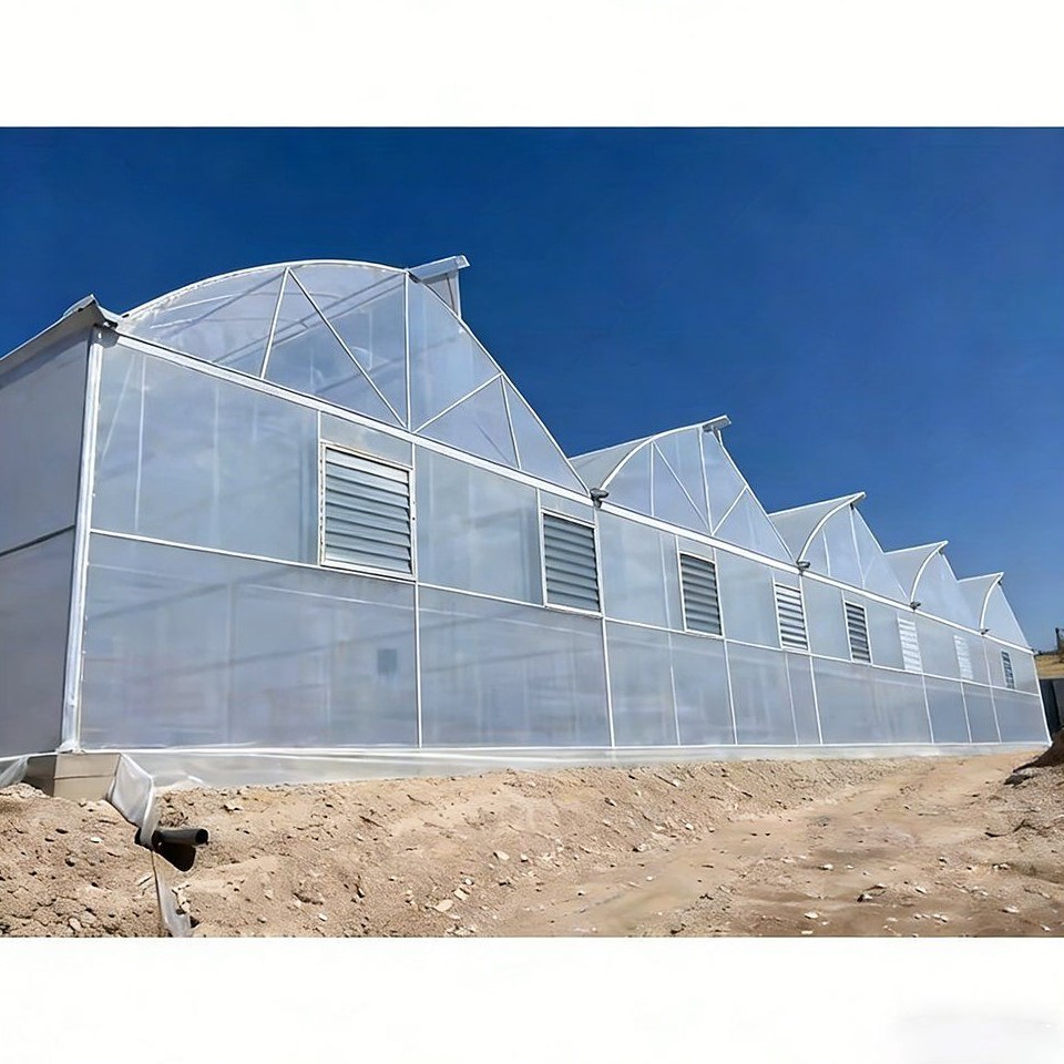 Wholesale Dome Multi Span Greenhouse with 4mm PC Panels for Vegetables